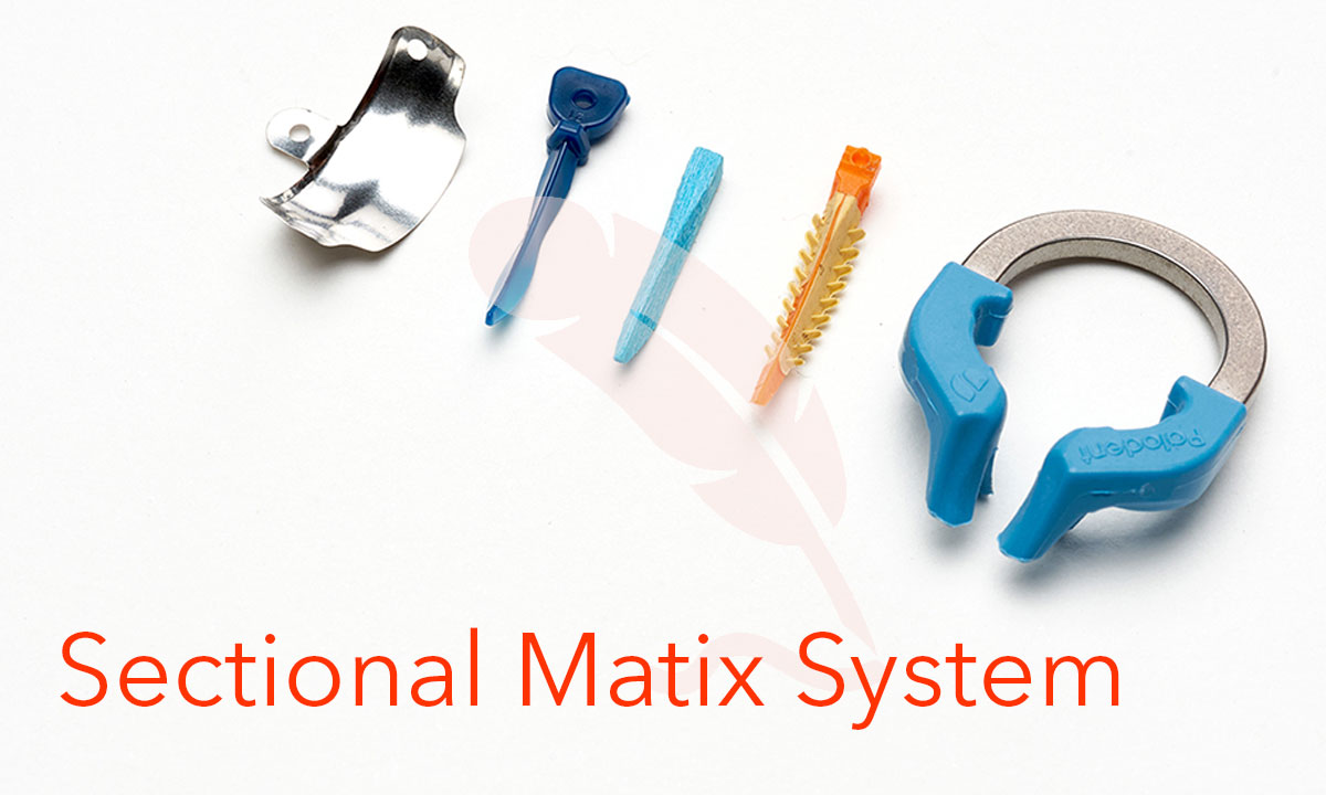 Sectional Matrix Sytem (Tight Contact)
